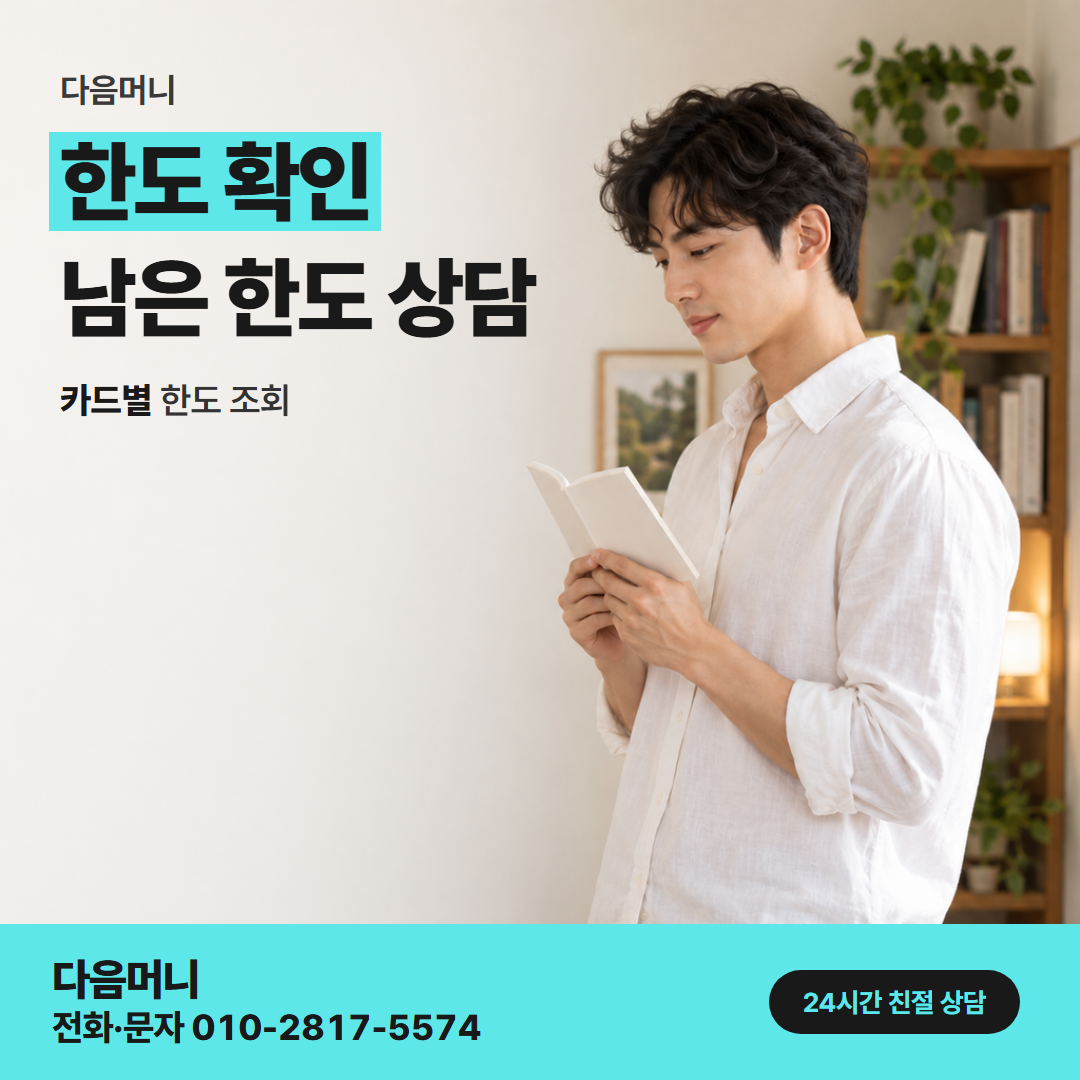 다음머니 포항카드깡 비용까지 들어갈 남은 한도